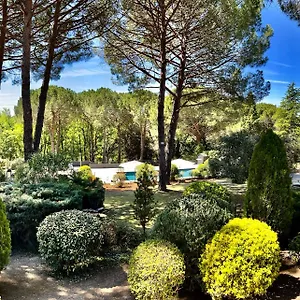 Provence Mon Couette-café